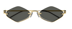 GUCCİ - GUCCI GG1604S 001