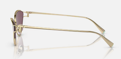 TIFFANY&CO TF 3095 6194/AK