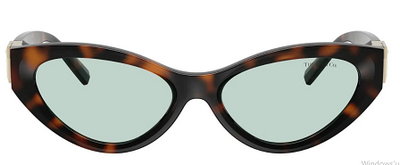 TIFFANY&CO TF 4225-U 8429/D9