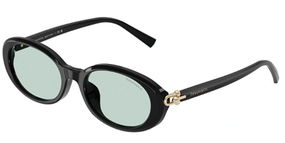 TIFFANY&CO TF 4242-D 8001/D9