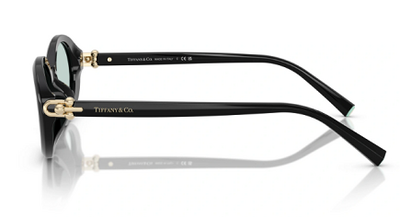 TIFFANY&CO TF 4242-D 8001/D9