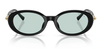 TIFFANY&CO TF 4242-D 8001/D9